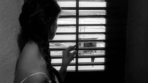 Vento del Sud Bild 2