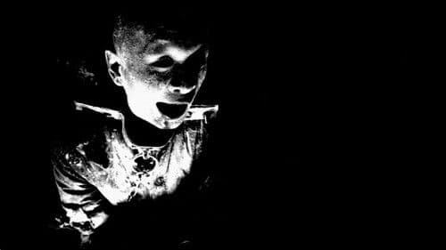 964 Pinocchio Bild 5