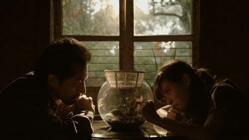 El Mar Entre las Casas Bild 1