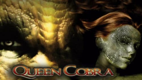Queen Cobra Bild 1