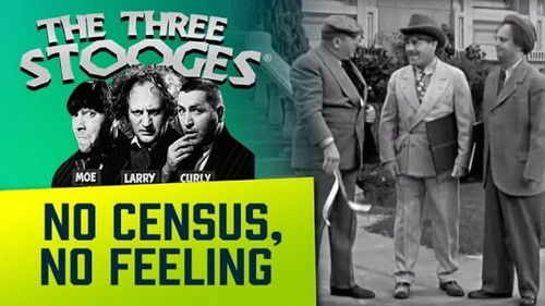 No Census, No Feeling Bild 4