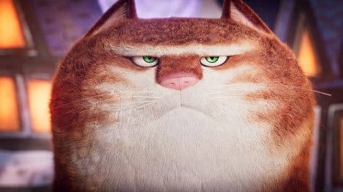 Maurice der Kater Bild 6