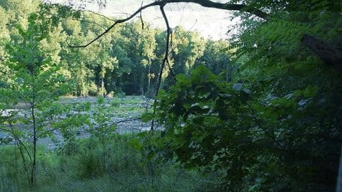 Troy: The Resurrection of Aeneas Bild 3