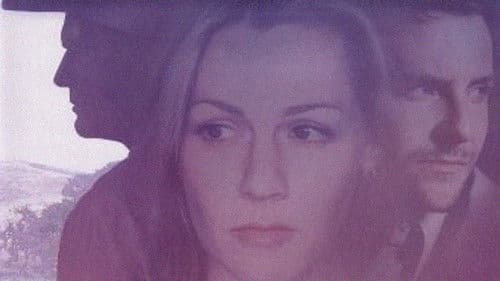 The Last Cowboy Bild 1