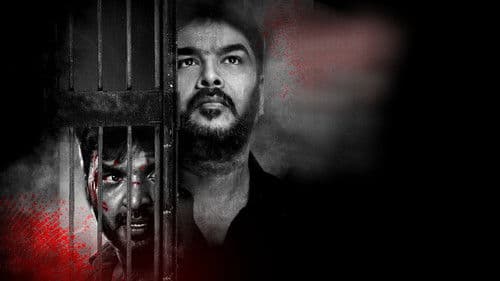 பட்டாம்பூச்சி Bild 7