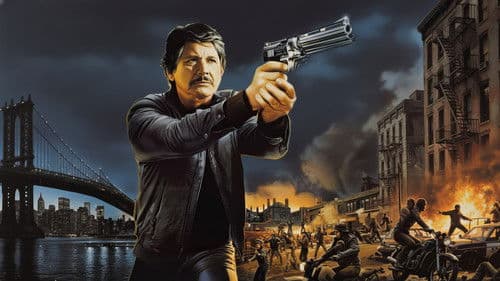 Death Wish 3 - Der Rächer von New York Bild 5
