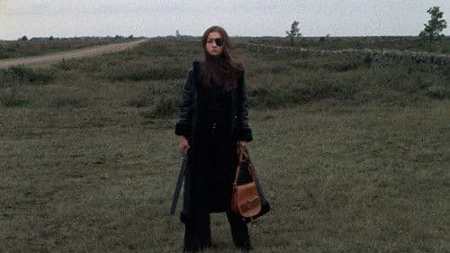 Thriller - Ein unbarmherziger Film Bild 1