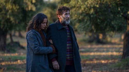 Los destellos Bild 3