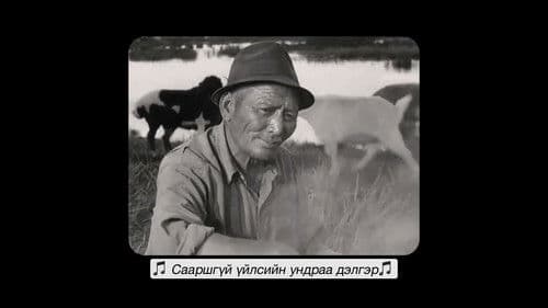 Хөдөөгийн баясгалан Bild 2