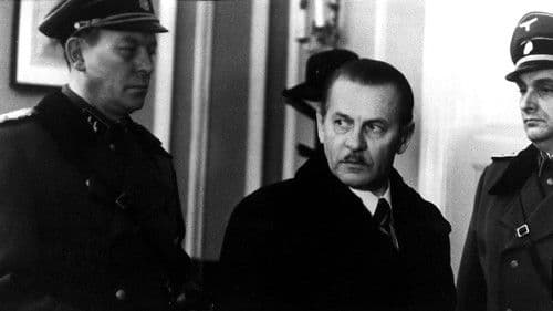 ...Gdziekolwiek jesteś, panie prezydencie... Bild 2