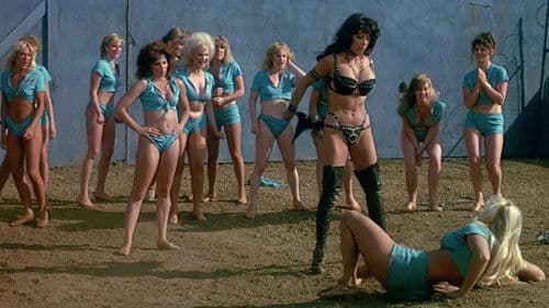 Drei Engel auf der Todesinsel Bild 3