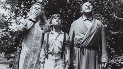 The Fool Killer Bild 3