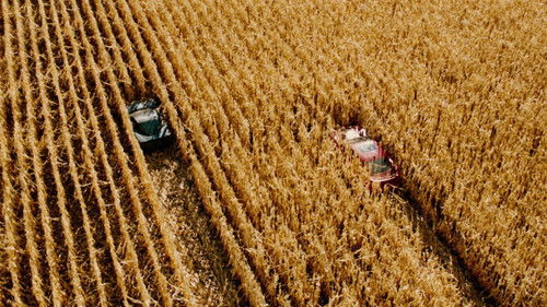 The Last Stand Bild 4