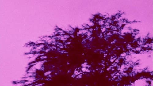 Aetheria Bild 1
