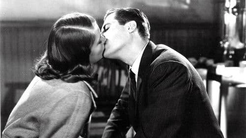 Irgendwo in der Nacht Bild 4