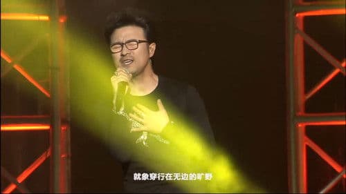 汪峰 岁月巡回演唱会 Bild 2