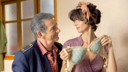 Vom Lokführer, der die Liebe suchte... Bild 3