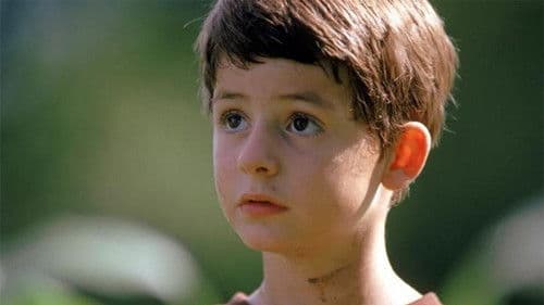 Perfect World Bild 7