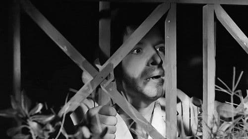 Ερωτικές Ιστορίες Bild 4