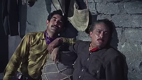 Alazán y enamorado Bild 2