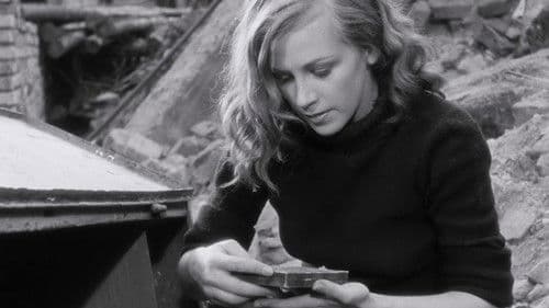 Zwischen gestern und morgen Bild 3