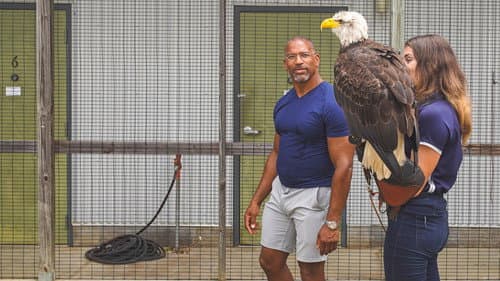 Extraordinary Birder with Christian Cooper Bild 8