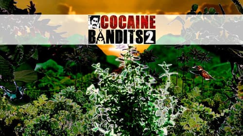 Cocaine Bandits 2 - Die Sünden meines Vaters Bild 1
