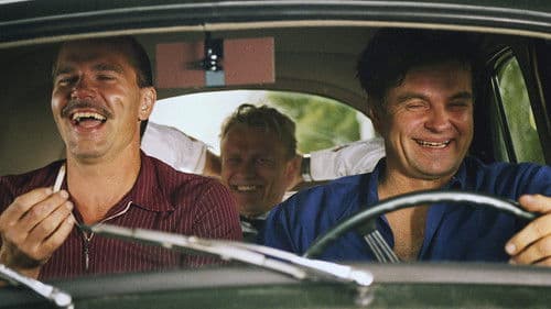 Kulkuri ja joutsen Bild 1