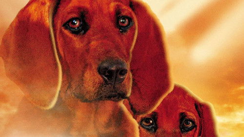 Wo der rote Farn wächst Bild 2