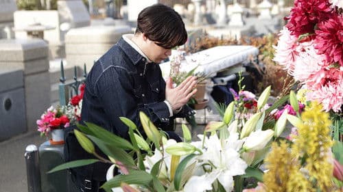 HURRY GO ROUND Bild 6