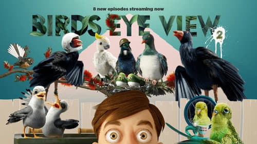 Bird's Eye View Bild 2