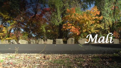 Mali Bild 1