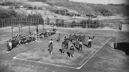 Am allerschönsten Bild 3