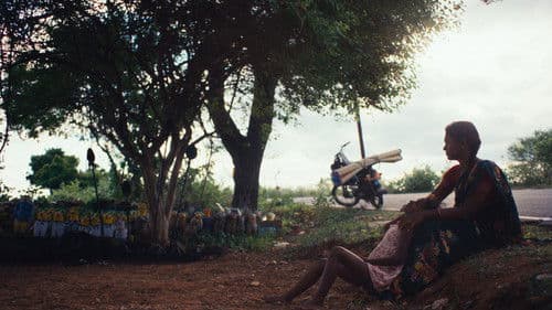 மயிலா Bild 3