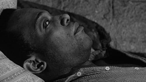 The Connection Bild 5