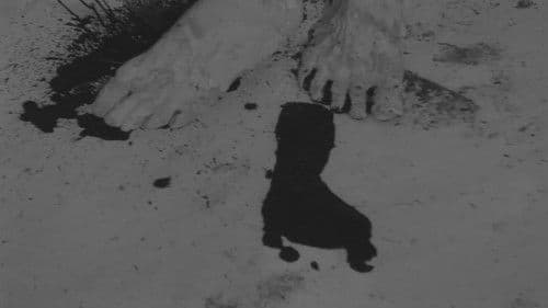 Ｏ氏の肖像 Bild 1