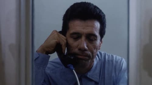 Das Gesetz der Gewalt Bild 5