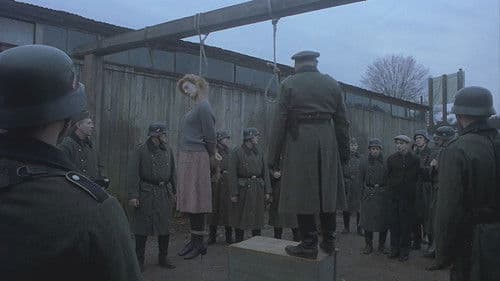 Songs From The Second Floor Bild 4