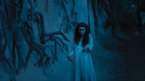 The Field Guide to Evil Bild 1