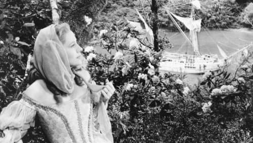 Der Pirat und die Dame Bild 7