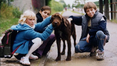 Nenn’ mich einfach Axel Bild 6