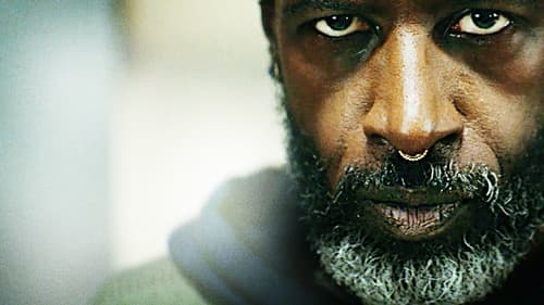 Akilla's Escape Bild 3