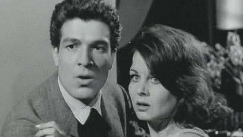 Şeker Hafiye Bild 3