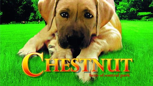 Chestnut - Der Held vom Central Park Bild 6