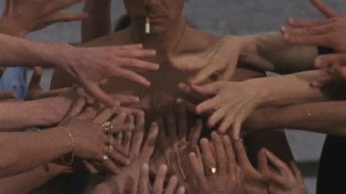 Lie Down With Dogs Bild 1