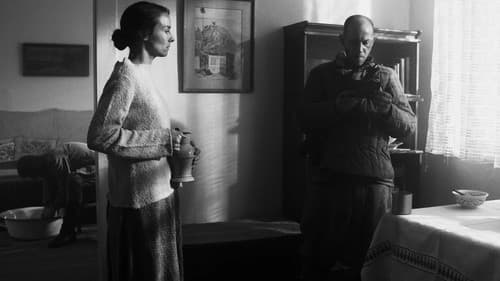 Father to Son Bild 4