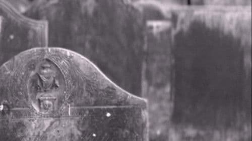 Eternity's Void Bild 1