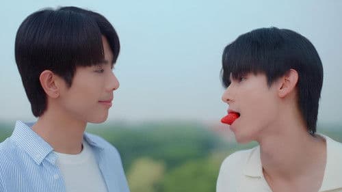 The Love Never Sets Bild 4