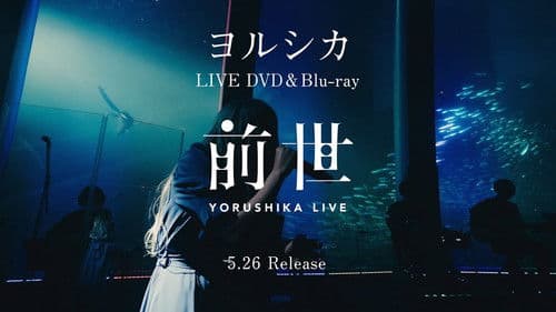 ヨルシカ Live「前世」 Bild 2