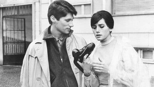 Os Verdes Anos Bild 4